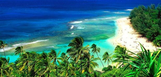 Hawaii Navidad Hawaii