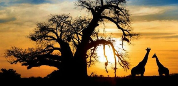 Ciudad del Cabo, Sudáfrica Navidad Ciudad del Cabo, Sudáfrica