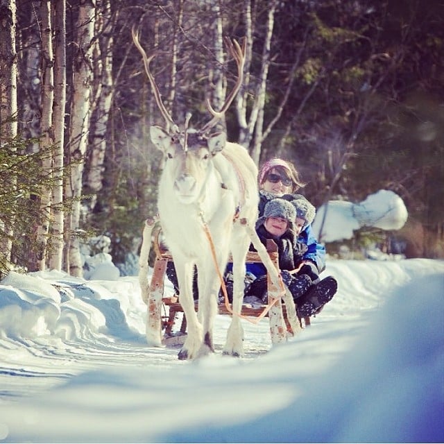 Reindeer sleigh ride Reindeer sleigh ride