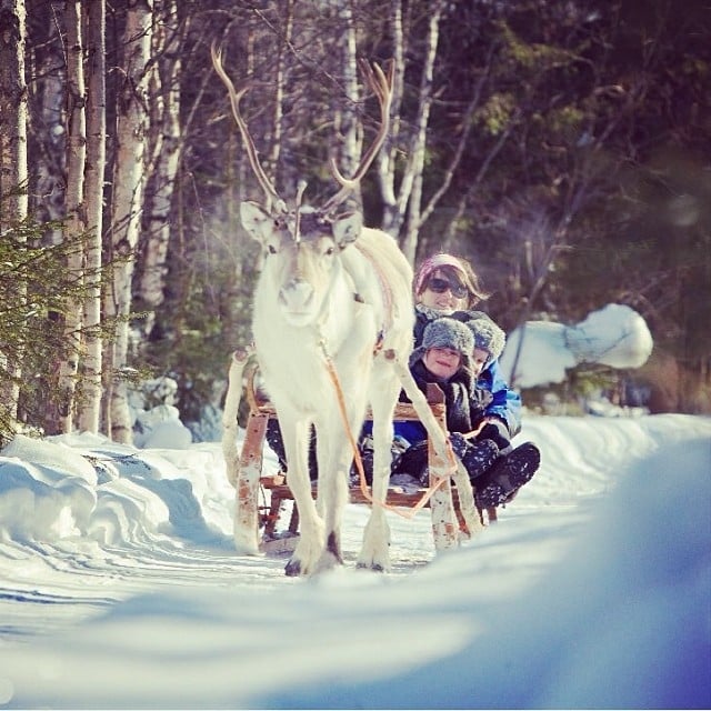 Reindeer sleigh ride