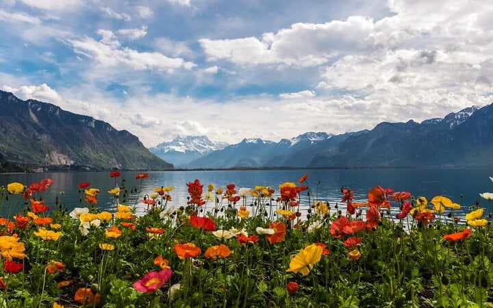 Les Avants – Lago Léman - Primavera