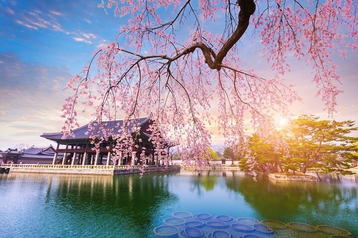 Seoul - coreia - primavera