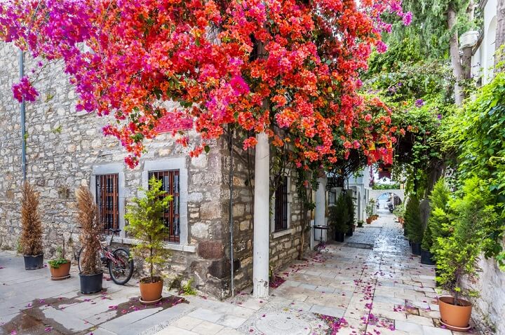 bodrum - turquia - primavera