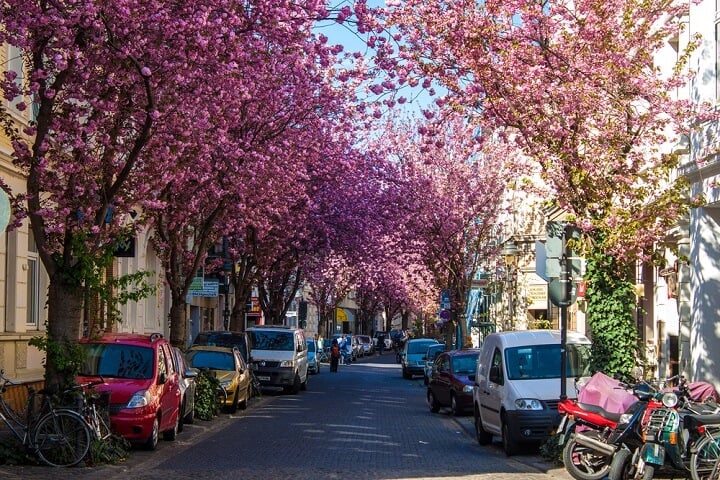 bonn - alemanha - primavera