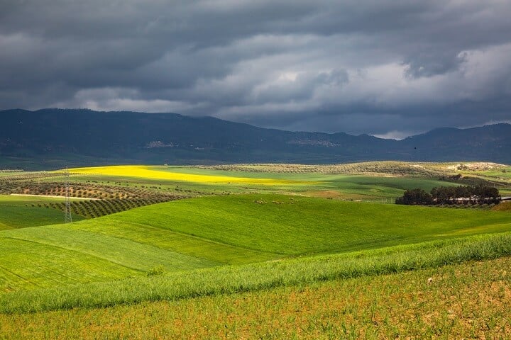 fez - marrocos - primavera