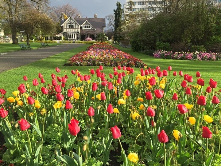jardim botanico Christchurch - Primavera