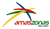 Pulkovo Airlines