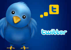 Siga-nos em twitter