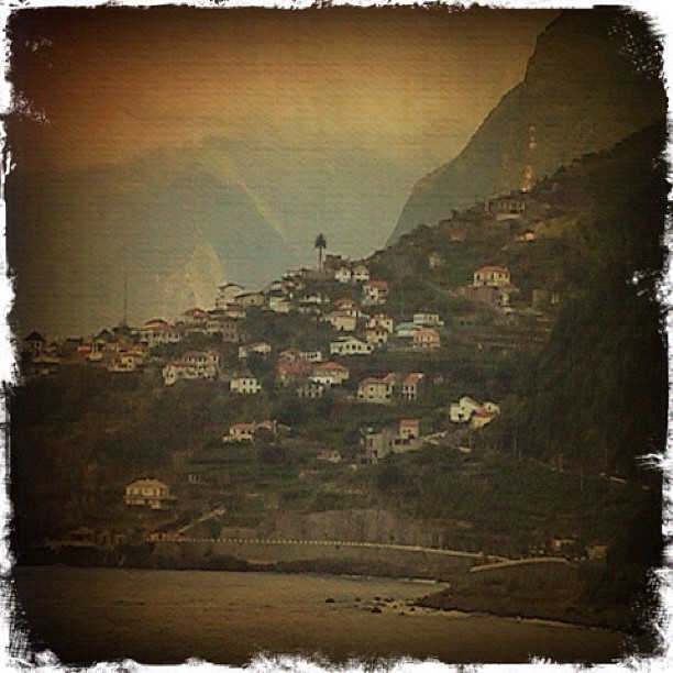 voos madeira
