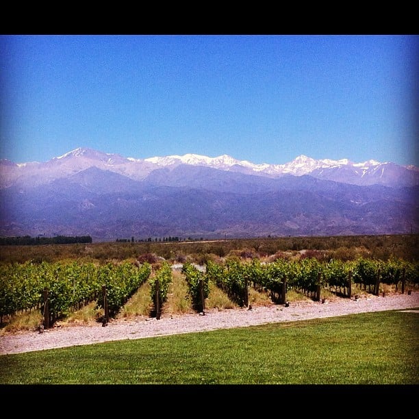 Vinhas de Mendoza