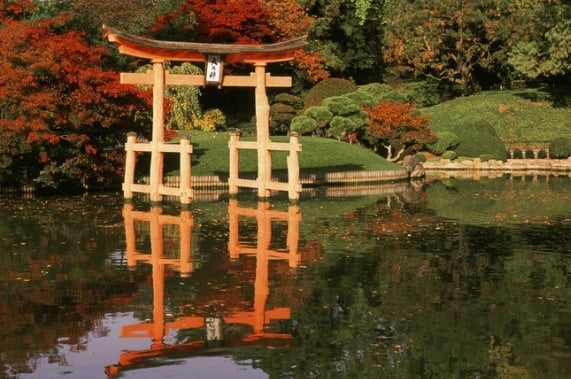 Jardim japonês