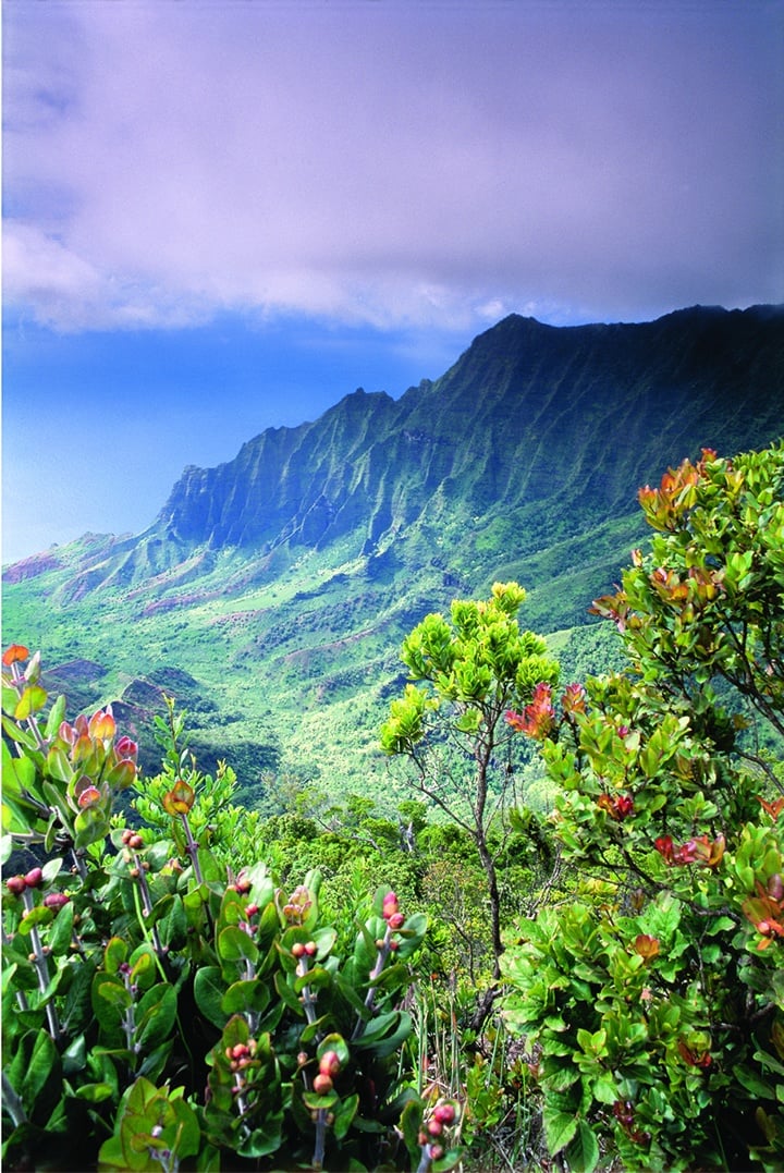 Trilha de Kalalau, Havai