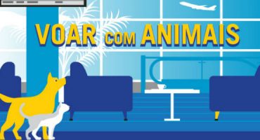 Viajar com animais em avião: normas por companhia aérea