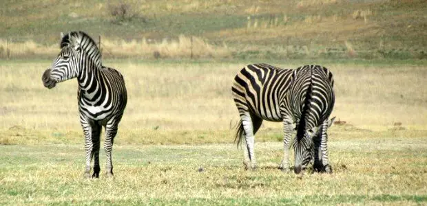 África do Sul África do Sul