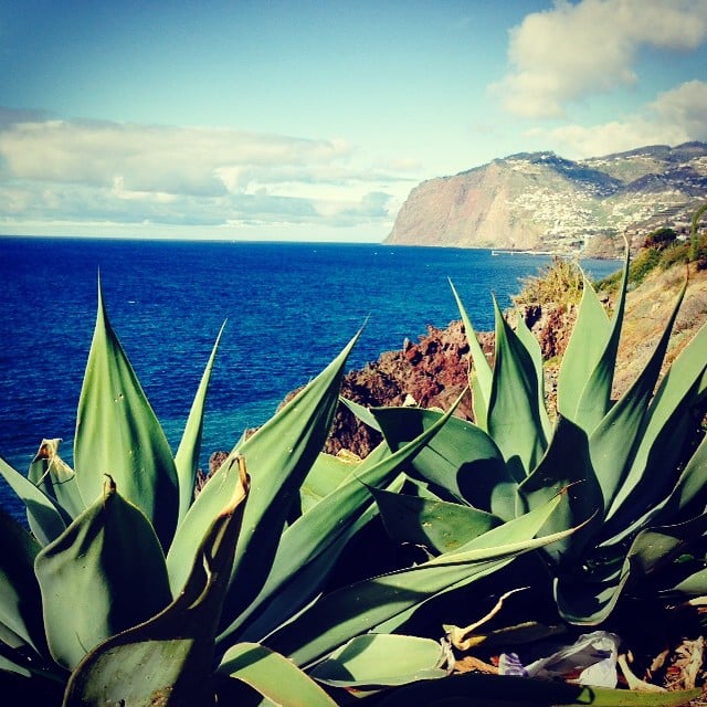 Ilha da Madeira