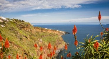 25 atividades e lugares a visitar durante uma viagem à Madeira