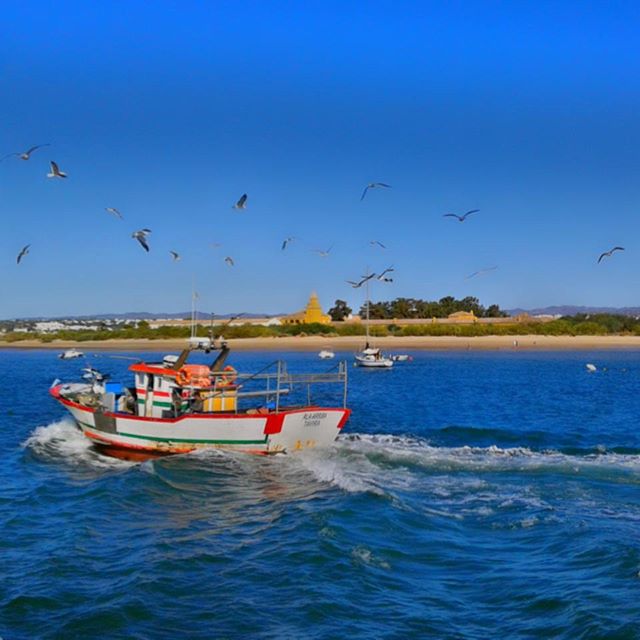 Ilha de Tavira, Portugal