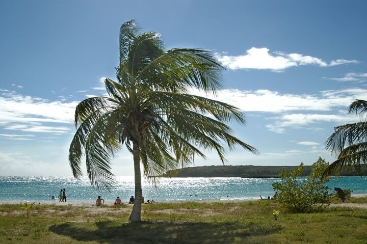 Vieques, Puerto Rico