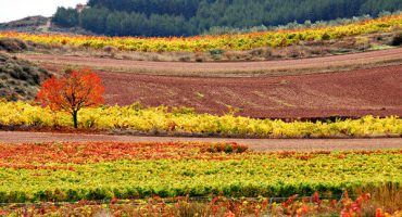 Lugares de Espanha para viajar em Outono