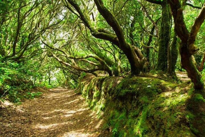 Parque Rural de Anaga em tenerife