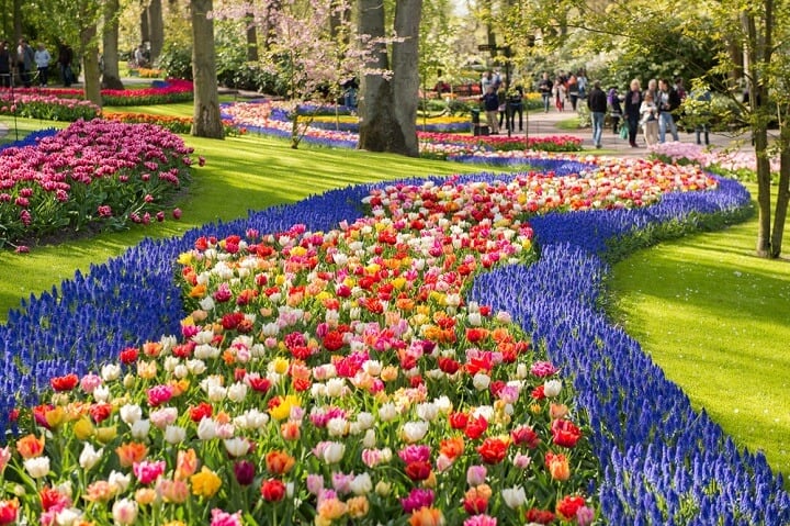 jardim Keukenhof - amesterdão - primavera