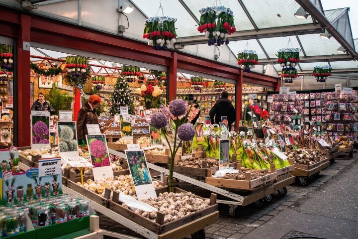bloemenmarkt - mercado de flores em amesterdão - holanda