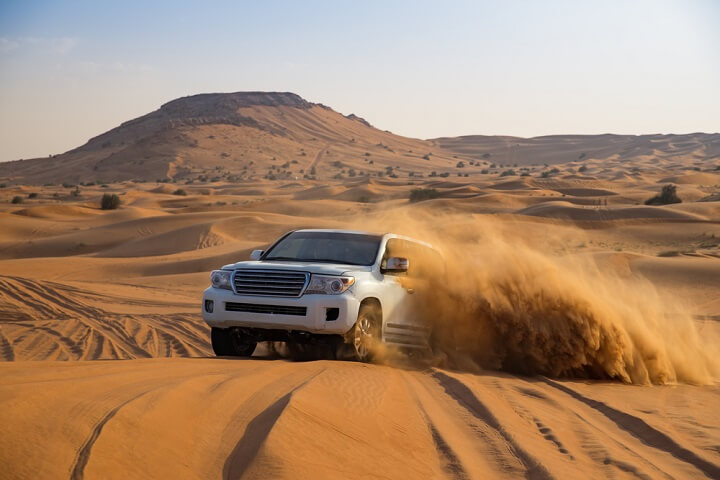 dubai safari