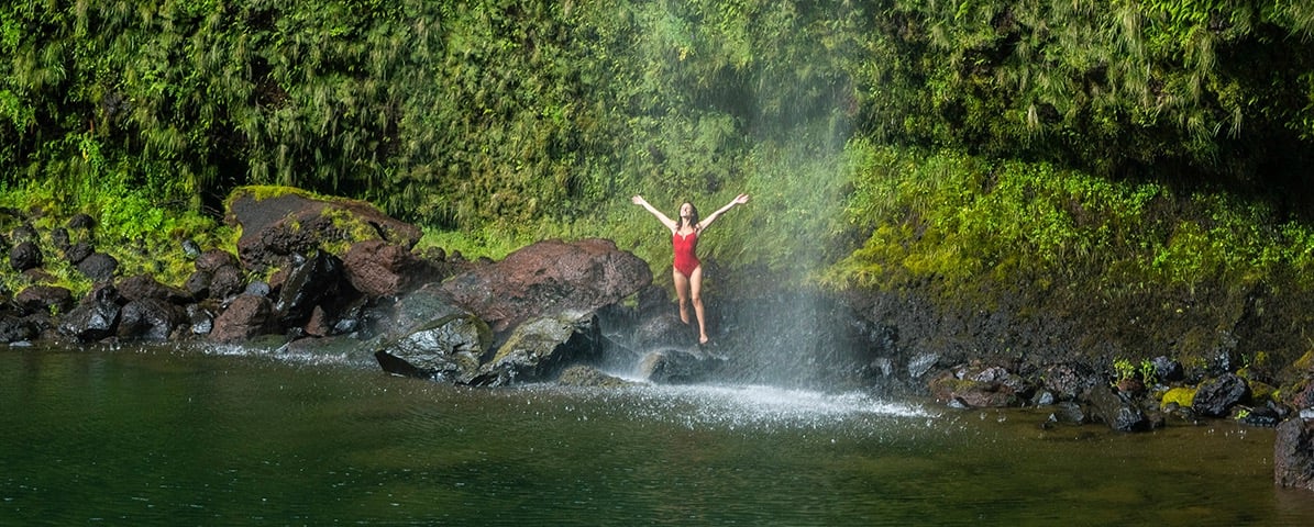 Amantes da natureza