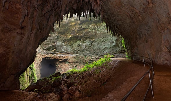 As Cavernas do Rio Camuy