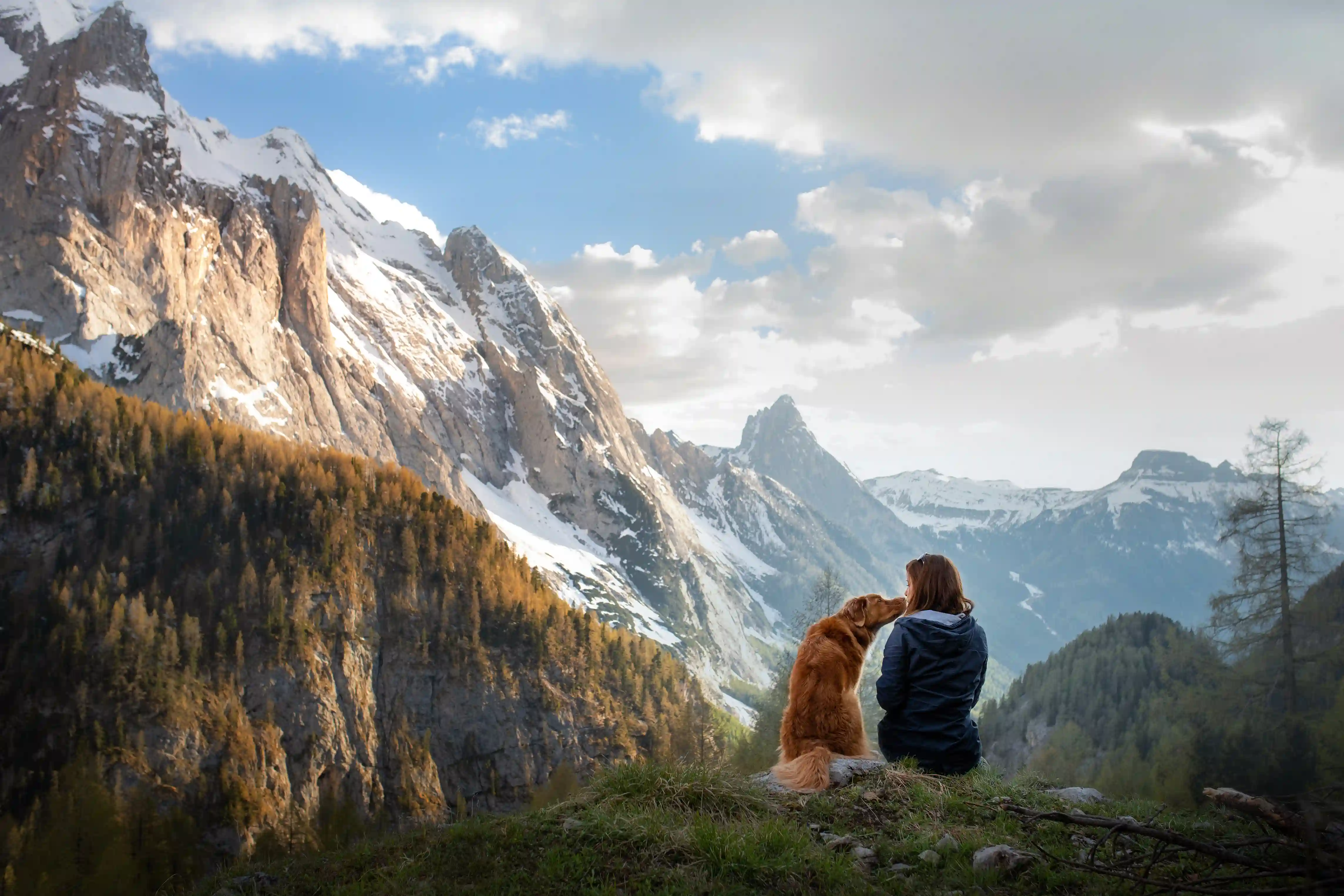 Voar com Pets | Regras & Boas Dicas